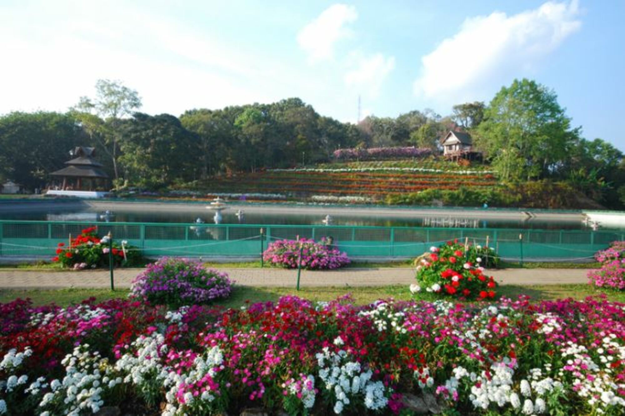清迈蒲屏皇宫(Bhubing Palace) 清迈必访景点 泰国皇室玫瑰花园